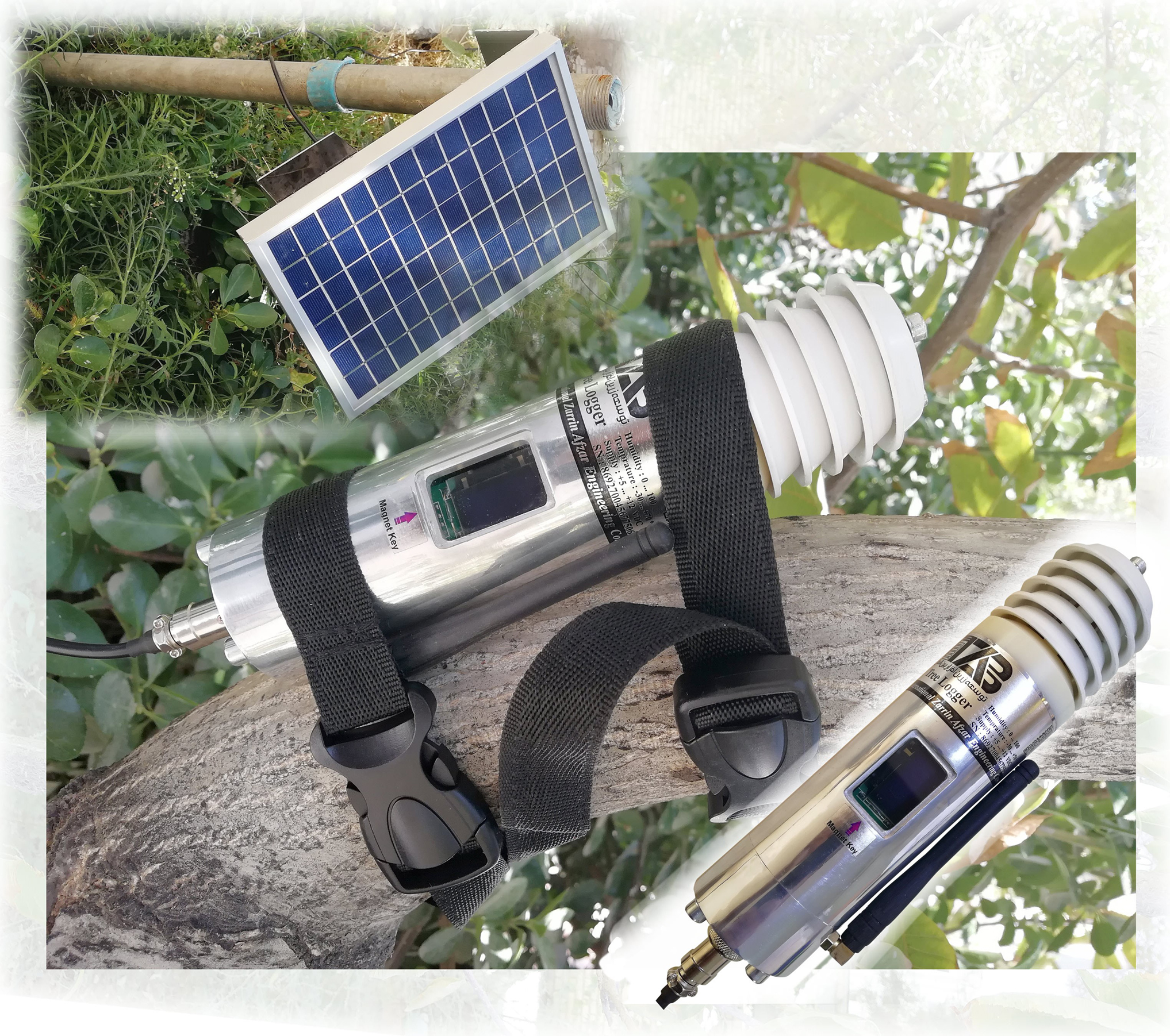 تریلاگر-treelogger